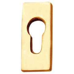 Security Escutcheon Euro