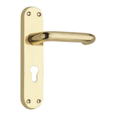 Lever on Back Plate Lock (Regalo Series Lever) -180mm x 41mm