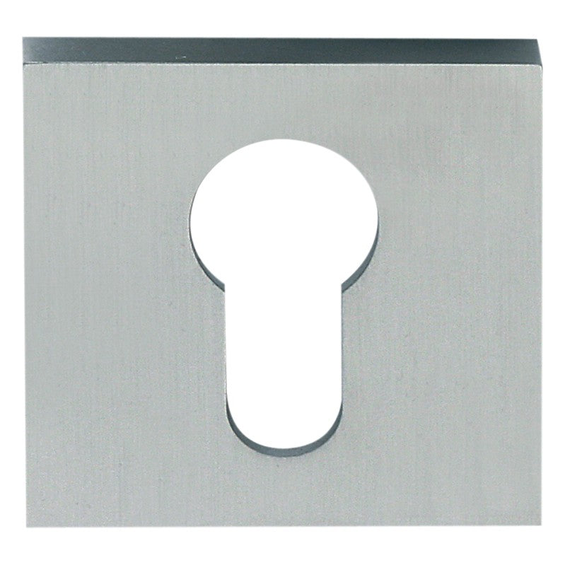 Square Concealed Escutcheon